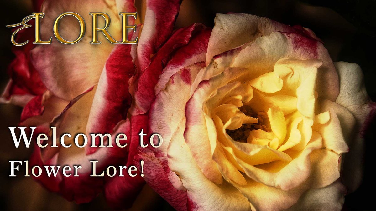 The Fictional Flowers Origins & Lore Uncovers Ancient Stories